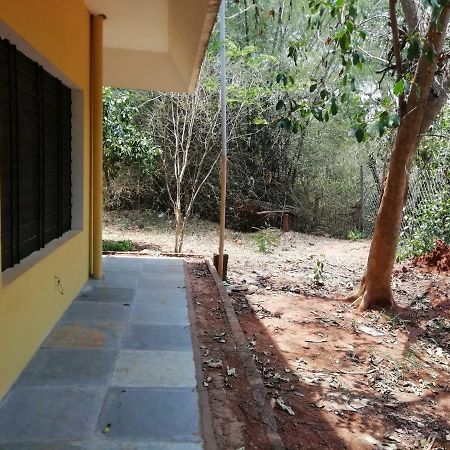 Purity Guest House Auroville Bagian luar foto