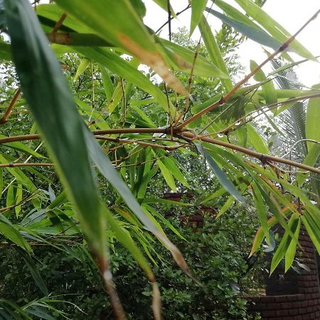 Purity Guest House Auroville Bagian luar foto