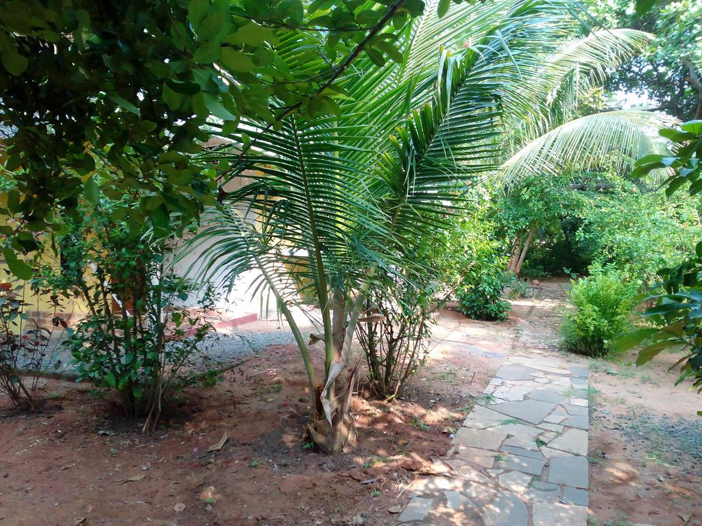 Purity Guest House Auroville Bagian luar foto