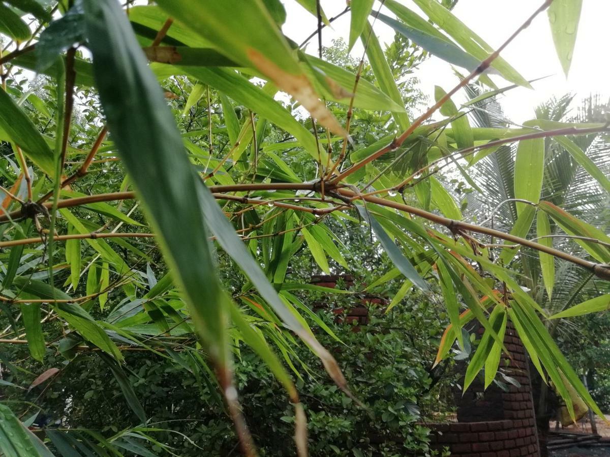 Purity Guest House Auroville Bagian luar foto