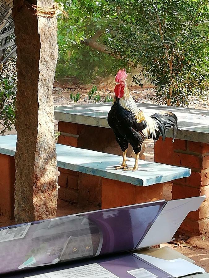 Purity Guest House Auroville Bagian luar foto